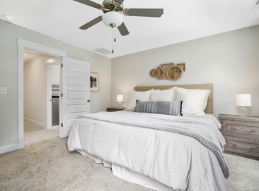 carpet cleaning services